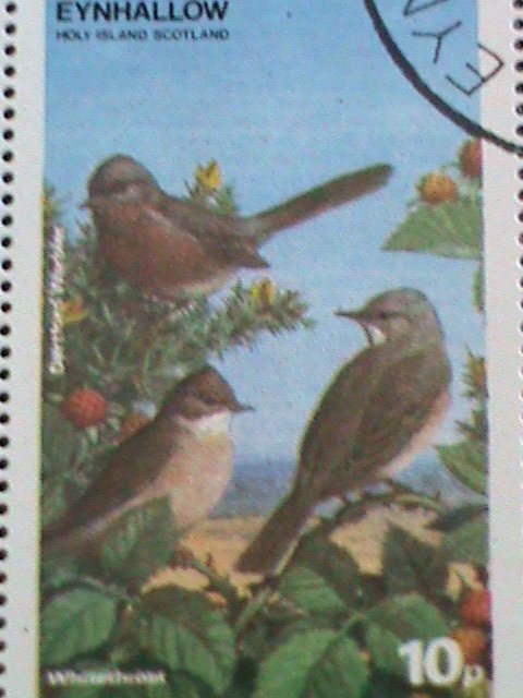 ​EYNHALLOW-SCOTLAND STAMP 1974 COLORFUL LOVELY WORLD BEAUTIFUL BIRDS-CTO-SHEET