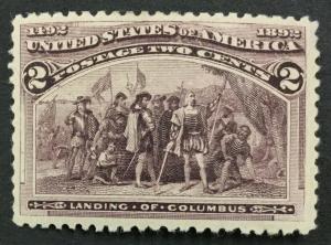 MOMEN: US #231 VAR. BROKEN FRAMELINE BOTTOM RIGHT MINT OG H #27897