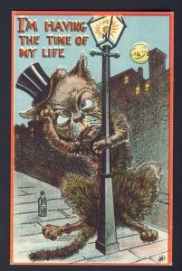 POSTAL HISTORY -  Drunk cat POSTCARD