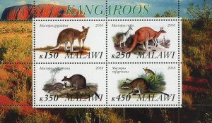 Kangaroo Stamp Wild Animal Macropus Giganteus Souvenir Sheet of 4 Stamps MNH