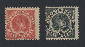 2x Newfoundland Dog Stamps; #56-1/2c F/VF  & #58-1/2c F  Guide Value = $25.00