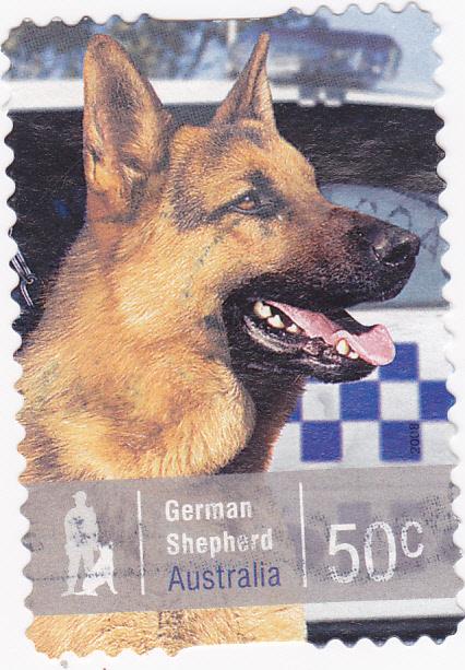 Australia -2008 Working Dogs German Shepherd -50c used 