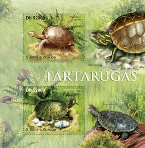 St Thomas - Turtles on Stamps - 2 Stamp  Sheet - ST11312a