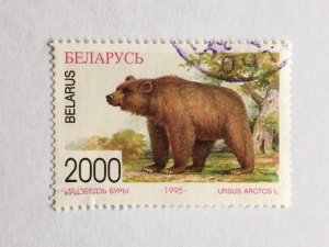 Belarus–1995 - Single “Mammal” Stamp – SC# 131 – CTO