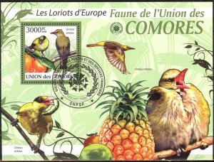 Comoros 2009 Birds Sheet Used / CTO