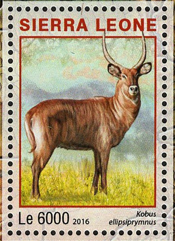 Park Kidepo Stamp Uganda Tragelaphus Sylvaticus S/S MNH #7290-7293