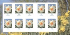 Germany 2006,Sc.#2326Ba MNH Flower: Narcissus (Narcissus poeticus)