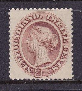 Newfoundland Scott 29 1894 QV 12c White Paper, VF/XF, MNH.Scott $210