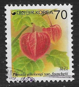 Korea #1716 70w Fruit - Physalis Alkekengi ~ Used