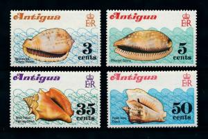 [99626] Antigua 1972 Marine Life Sea shells  MNH