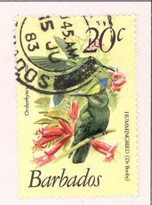 L-BARBados   501   Used Bird