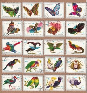 BUTTERFLY - EXOTIC BIRDS - PARADISE - PARROT - PHEASANT - TUCAN - SET OF 20