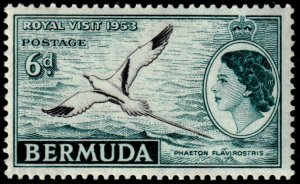 ✔️ BERMUDA 1953 - FAUNA YELLOW BILLED BIRD - SC.  152 MNH ** [5CW1]