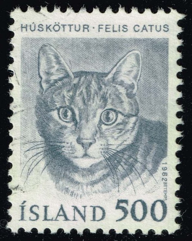 Iceland #558 Cat; Used