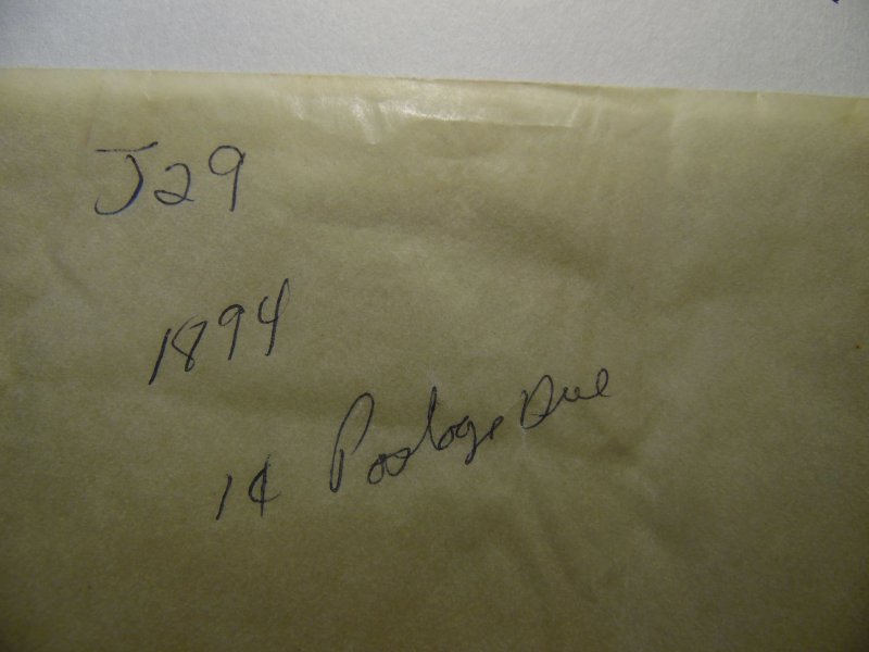 1894 US # J29 Postage Due