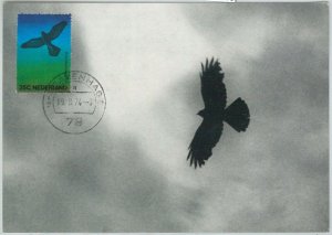 63610 - NETHERLANDS - POSTAL HISTORY: MAXIMUM CARD 1974 - BIRDS-