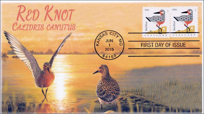 SC 4991, 2015, Coastal Birds, Red Knot, FDC, BW, 15-171