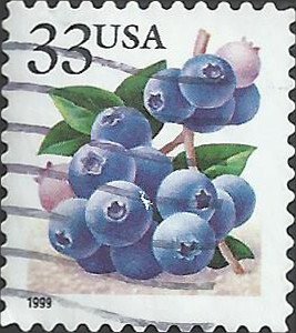 # 3294 USED BLUEBERRIES