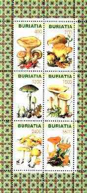 BURIATIA SHEET MUSHROOMS