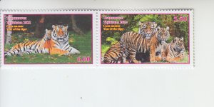 2022 Tadjikistan Year of the Tiger Pr (Scott NA) MNH