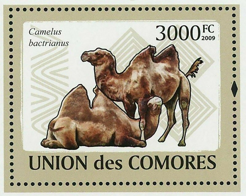 Camels Stamp Camelus Dromedarius Camelus Bactrianus S/S MNH #2134 / Bl.476 