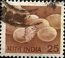 INDIA UNIDENTIFIED BOX ITEM