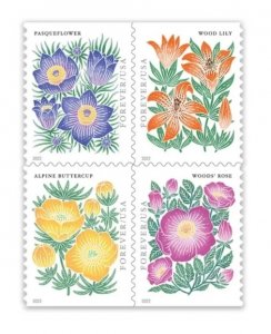 2022 Mountain Flora Wild Flower  forever stamps  5 Booklets 100pcs