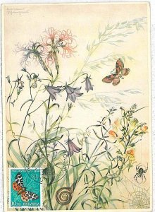 15640 - SWIZZERLAND -  MAXIMUM CARD - 1954 - PRO JUVENTUTE BUTTERFLY