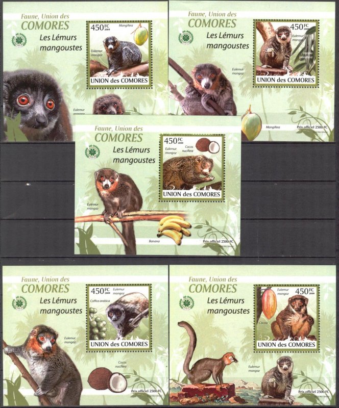 {096} Comoros 2009 Lemurs Monkeys 5 S/S Deluxe MNH**