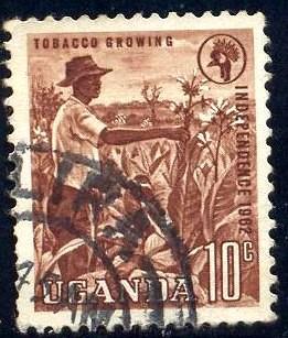 Tobacco Growing, Uganda stamp SC#84 used