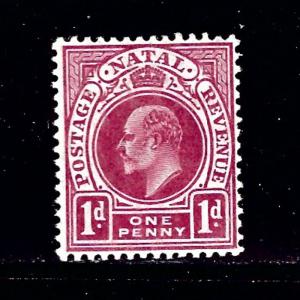 Natal 105 MH 1904 issue