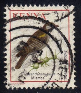 Kenya #600 Greater Honeyguide Bird; used (0.25)