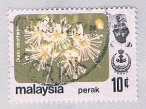 Malaysia Perak 156 Used Durio zibethinus (BP24528)