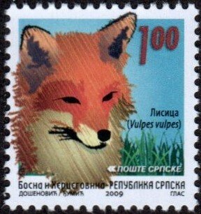 Bosnia and Herzegovina 357 - Mint-NH - 1m Red Fox (2009) (cv $1.10)