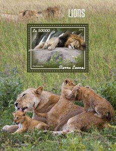 Sierra Leone - 2019 Lions on Stamps - Stamp Souvenir Sheet - SRL190608b