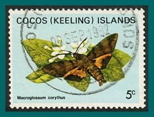 Cocos 1982 Butterflies Moths 1, 5c used  #89,SG86