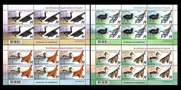2023 Belarus 1479KL-1492KL Birds - Features of waterfowl
