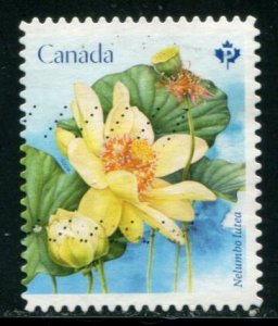 3091 Canada P Lotus Flowers SA, used