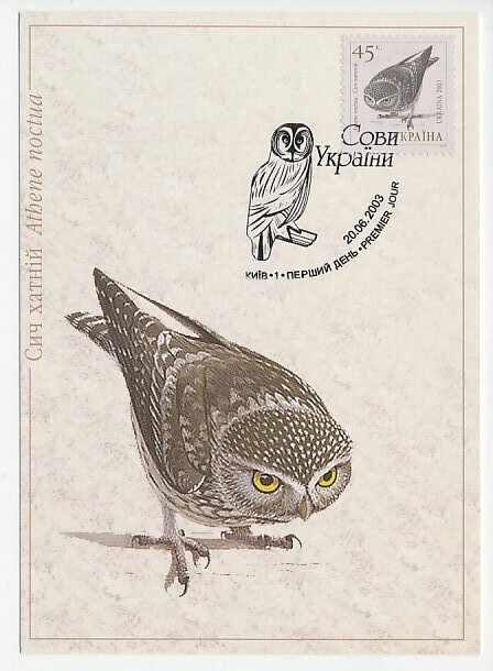 Maximum card Ukraine 2003 Bird - Owl