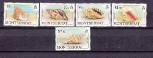 J26567 jlstamps 1988 Br colony montserrat mnh sea shell stamps part of set