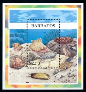 [99636] Barbados 1997 Marine life sea shells Souvenir Sheet MNH