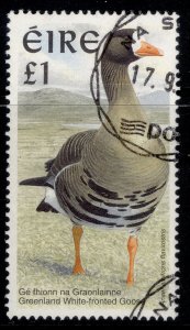 IRELAND QEII SG1060, 1997 £1 Greenland white fronted Goose, FINE USED.