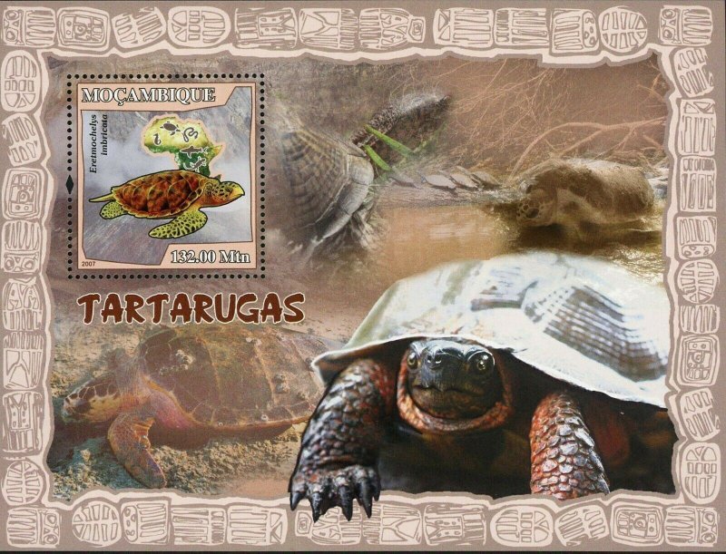 Turtles Stamp Eretmochelys Imbricata Reptile S/S MNH #2983 / Bl.220