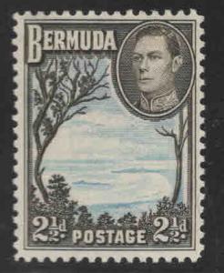 BERMUDA Scott 120A MH*