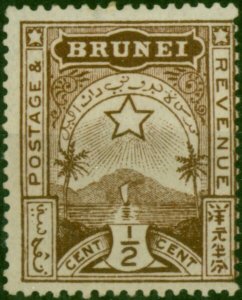 Brunei 1895 1/2c Brown SG1 Position 1/8 Fine MM