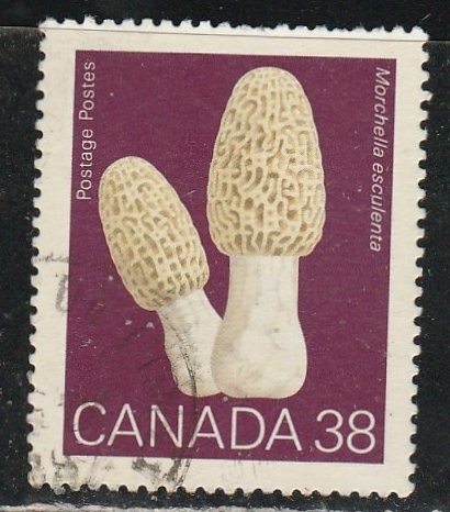 Canada   1248    (O)    1989    Le $0.38