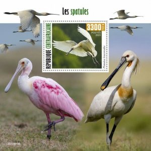 Central African Rep Birds on Stamps 2020 MNH Spoonbills Roseate Spoonbill 1v S/S