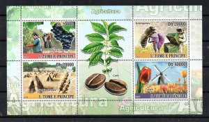 SAO TOME E PRINCIPE - M/S - 2008 - AGRICULTURE - OENOLOGY - BEES - HONEY -