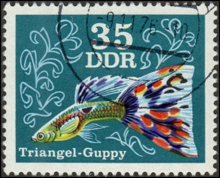 Germany DDR 1773 - Cto - 35pf Triangle Guppy (1976)