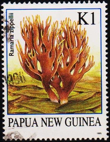 Papua New Guinea.1995 1k S.G.765 Fine Used